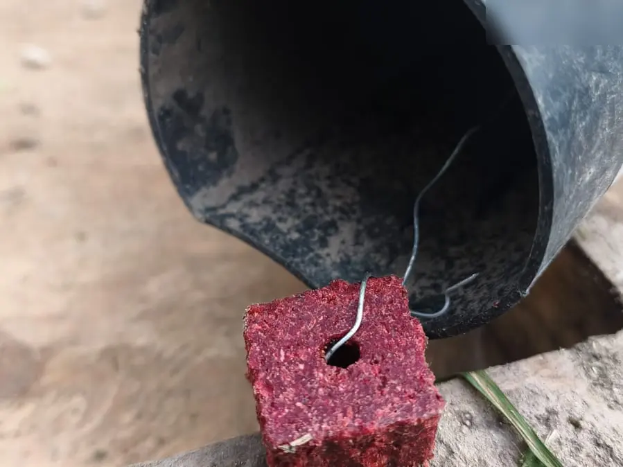 Bloque de cebo rodenticida rojo ensartado en un alambre, junto a la boca de una estación cebadera tubular negra de VIS