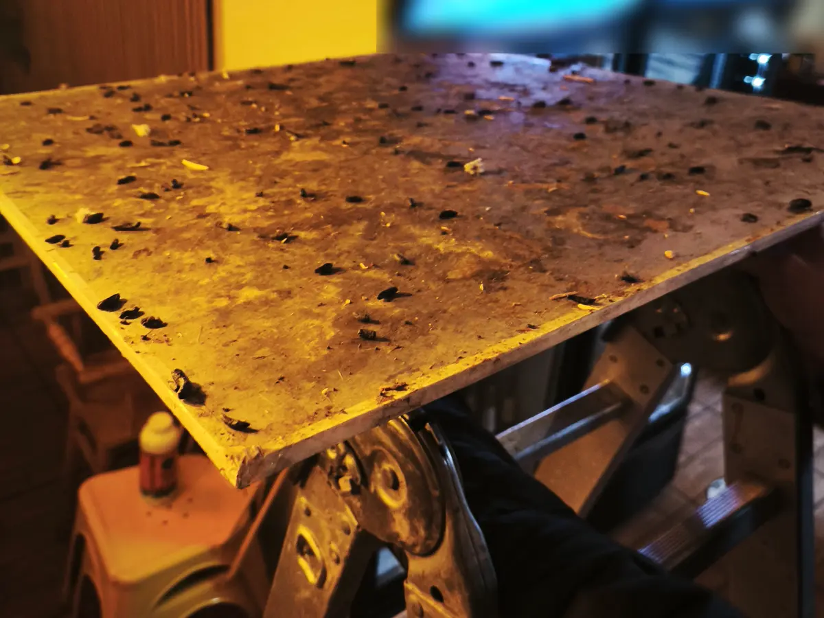 Plancha de cielo falso retirada en un restaurante, cubierta de fecas de rata de tejado y restos de comida, apoyada sobre una escalera