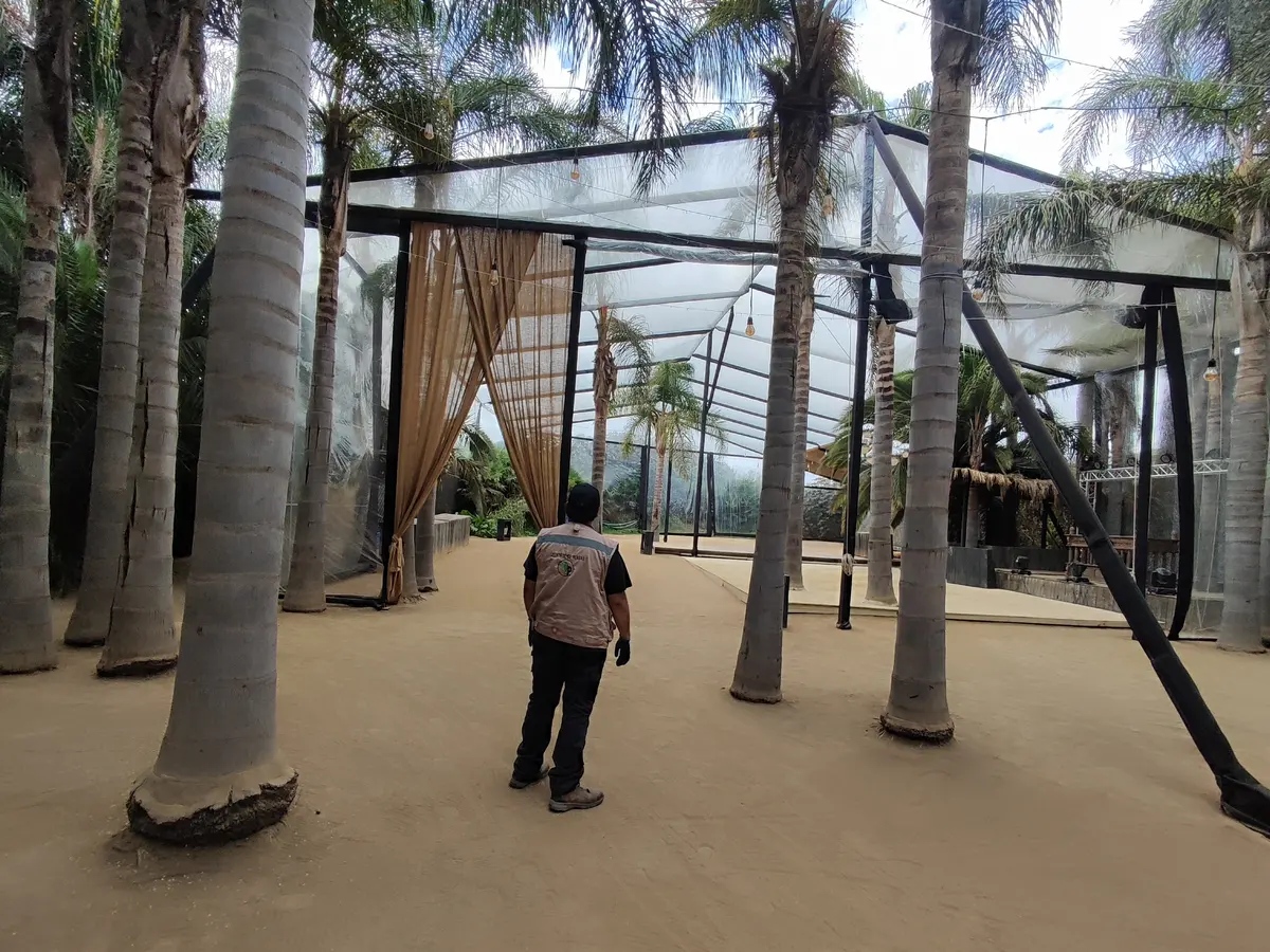 Técnico de VIS de espaldas, con chaleco beige, inspeccionando un centro de eventos con palmeras y techo transparente